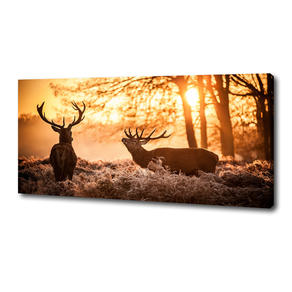 Canvas wall art East deer