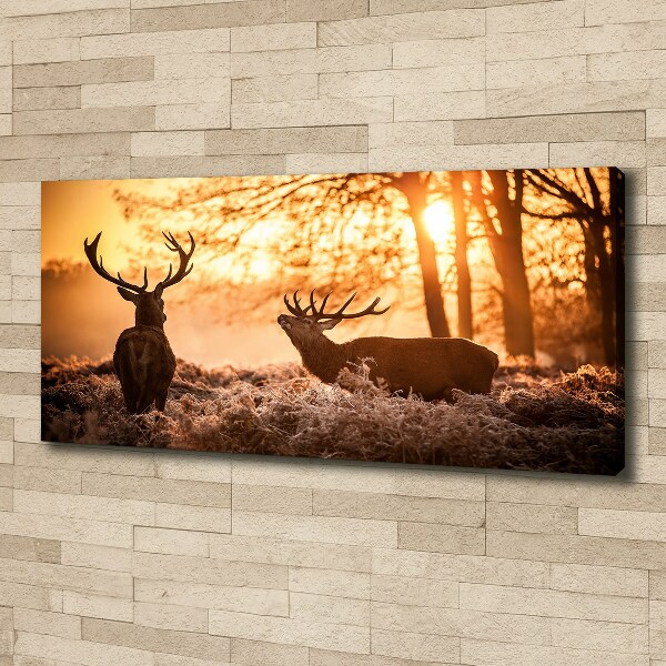 Canvas wall art East deer