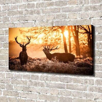 Canvas wall art East deer