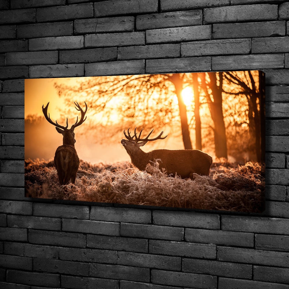 Canvas wall art East deer