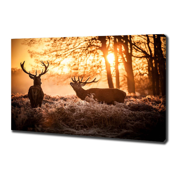 Canvas wall art East deer