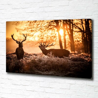 Canvas wall art East deer