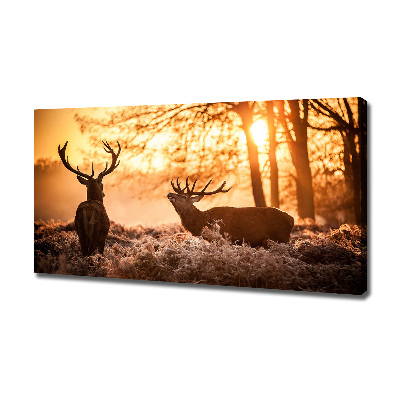 Canvas wall art East deer