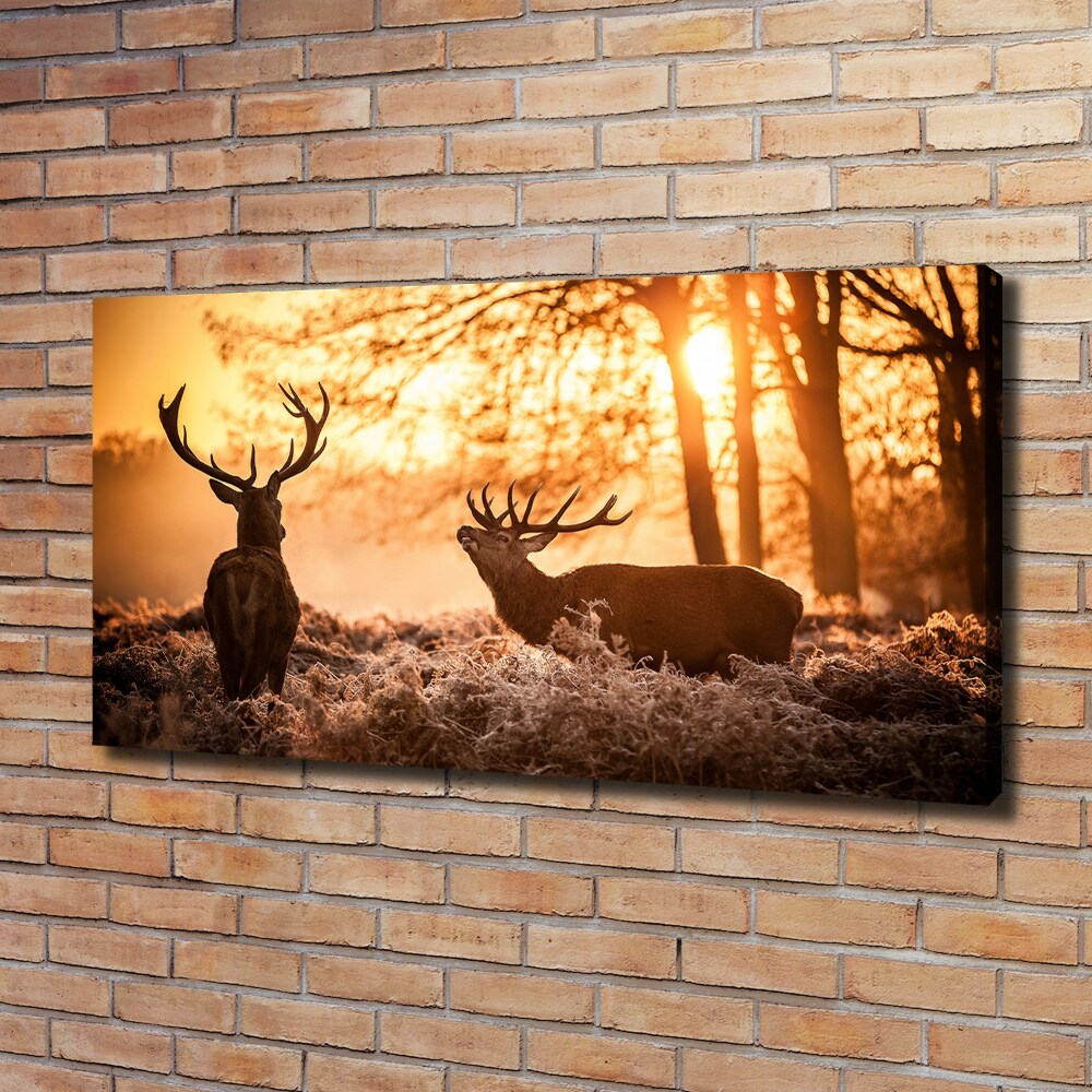 Canvas wall art East deer