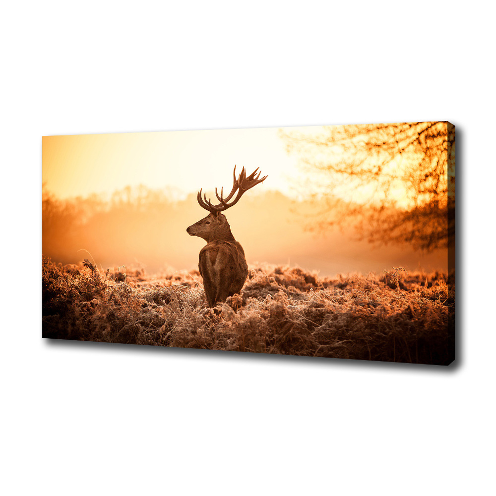 Canvas wall art Deer sunrise