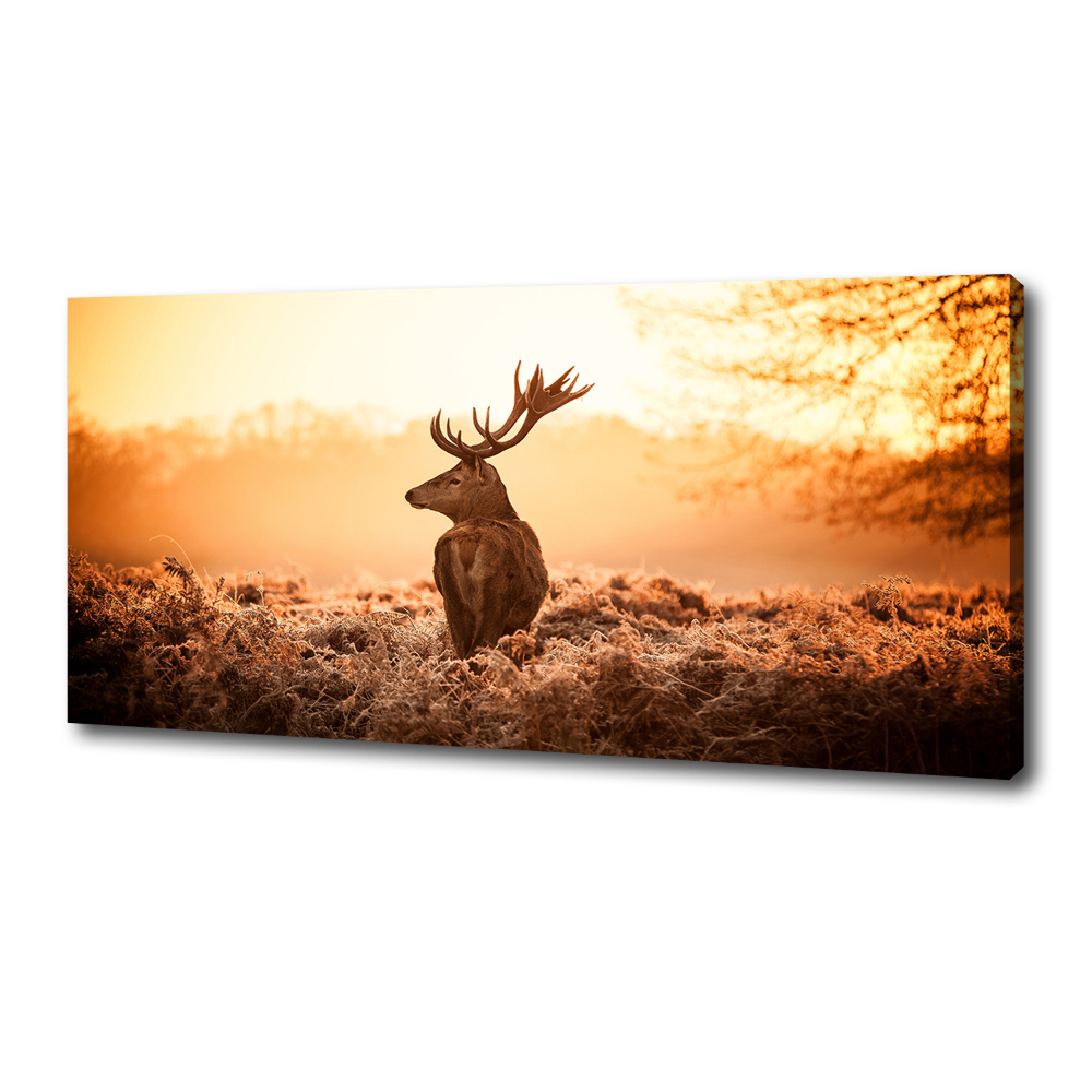 Canvas wall art Deer sunrise