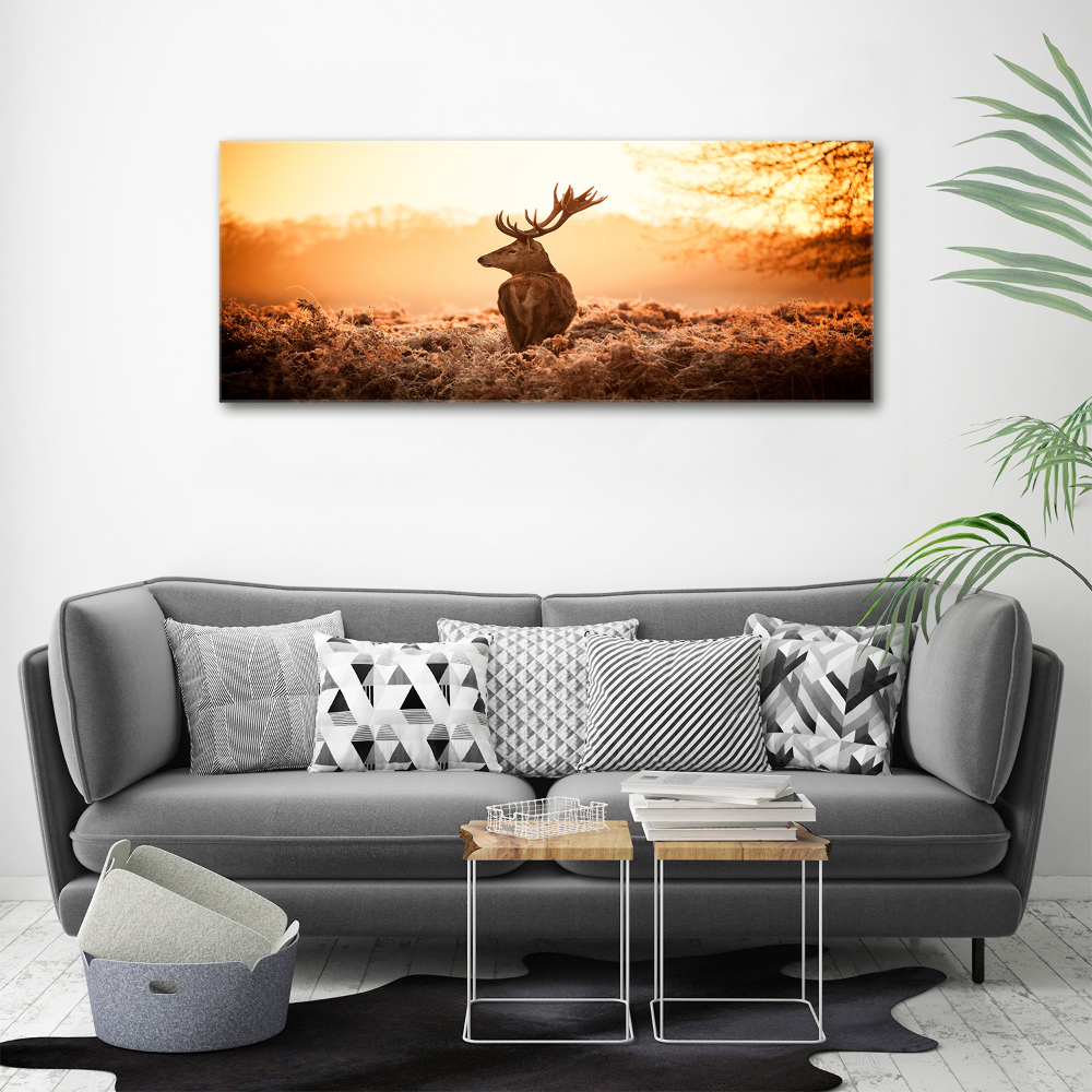 Canvas wall art Deer sunrise