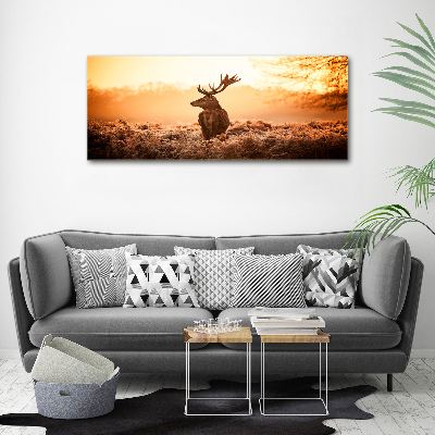 Canvas wall art Deer sunrise