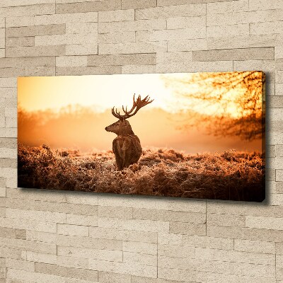 Canvas wall art Deer sunrise