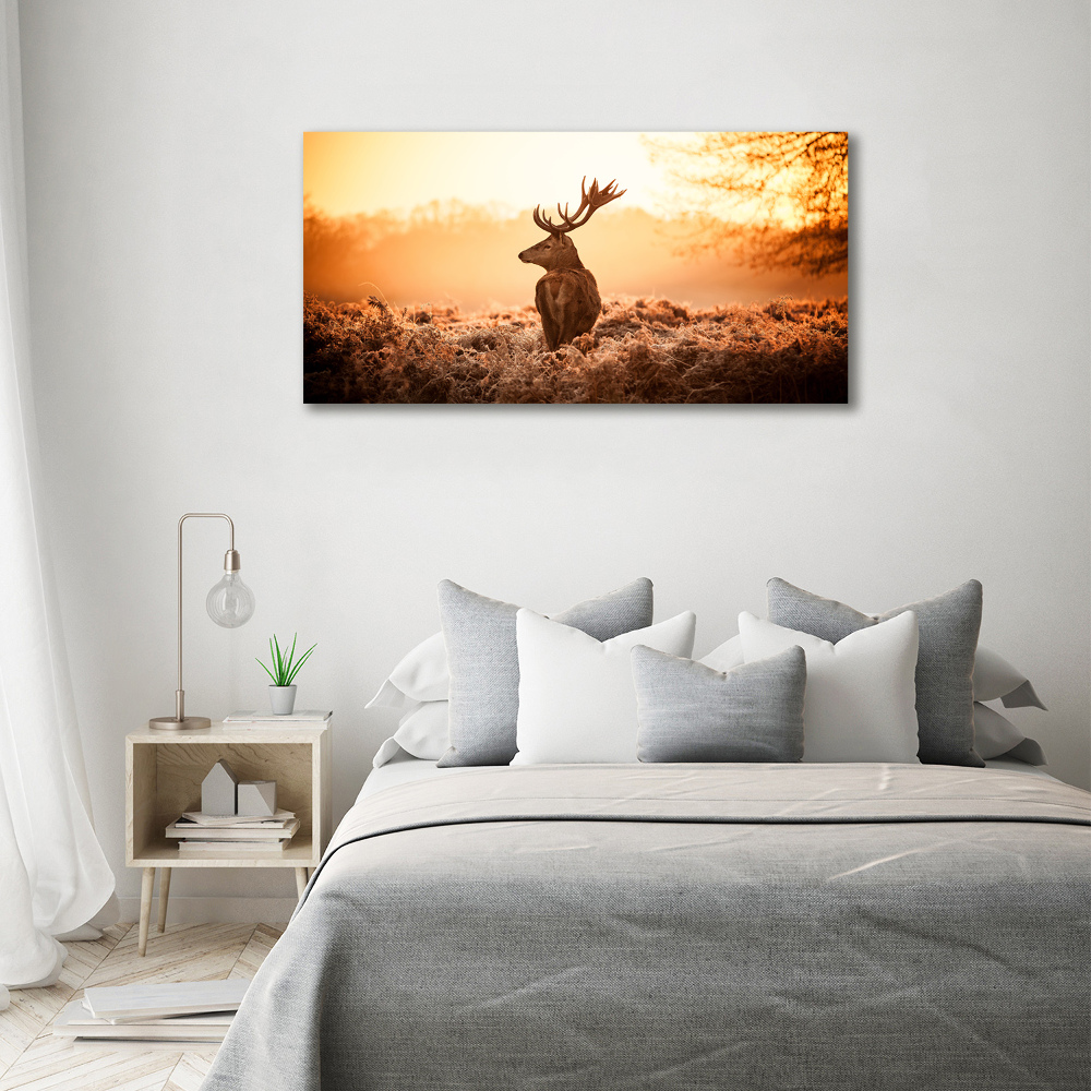 Canvas wall art Deer sunrise