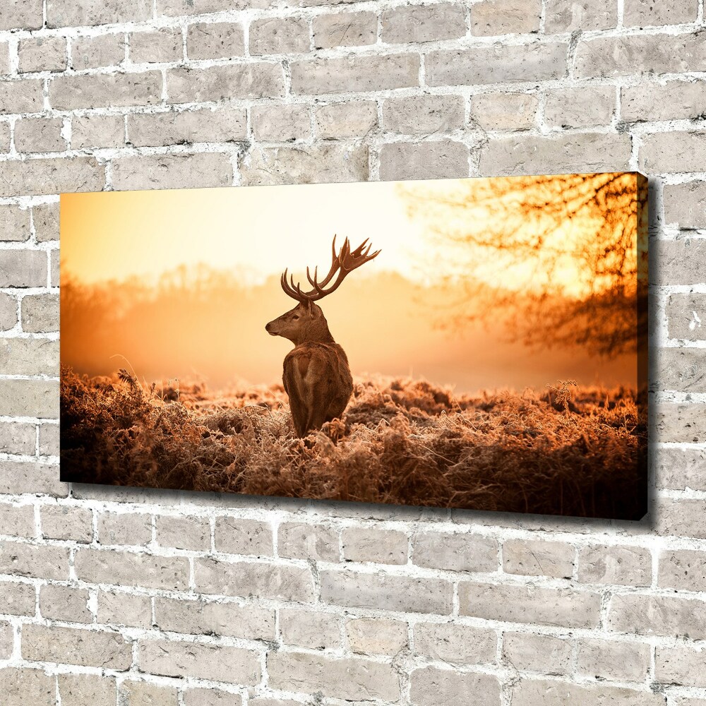 Canvas wall art Deer sunrise