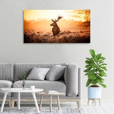 Canvas wall art Deer sunrise