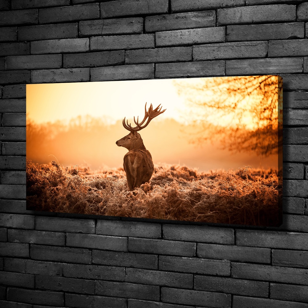 Canvas wall art Deer sunrise