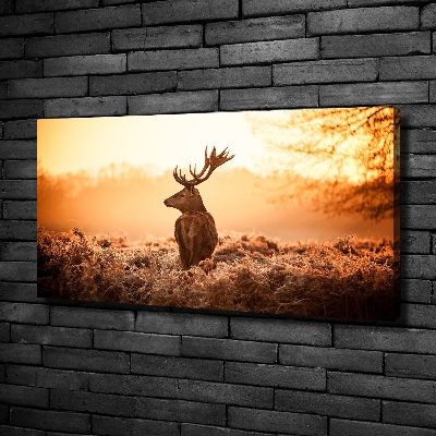 Canvas wall art Deer sunrise