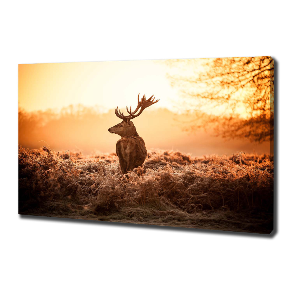 Canvas wall art Deer sunrise