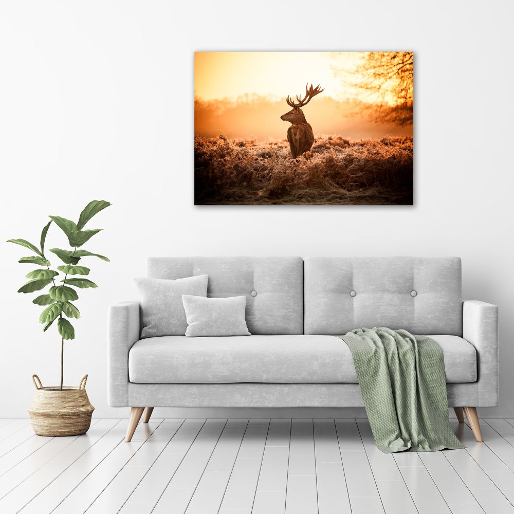 Canvas wall art Deer sunrise