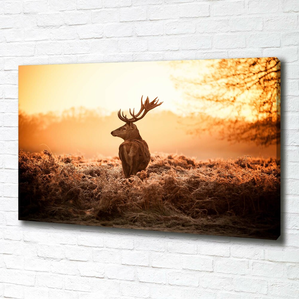 Canvas wall art Deer sunrise