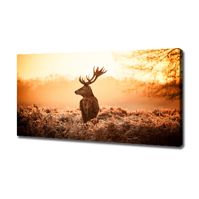 Canvas wall art Deer sunrise