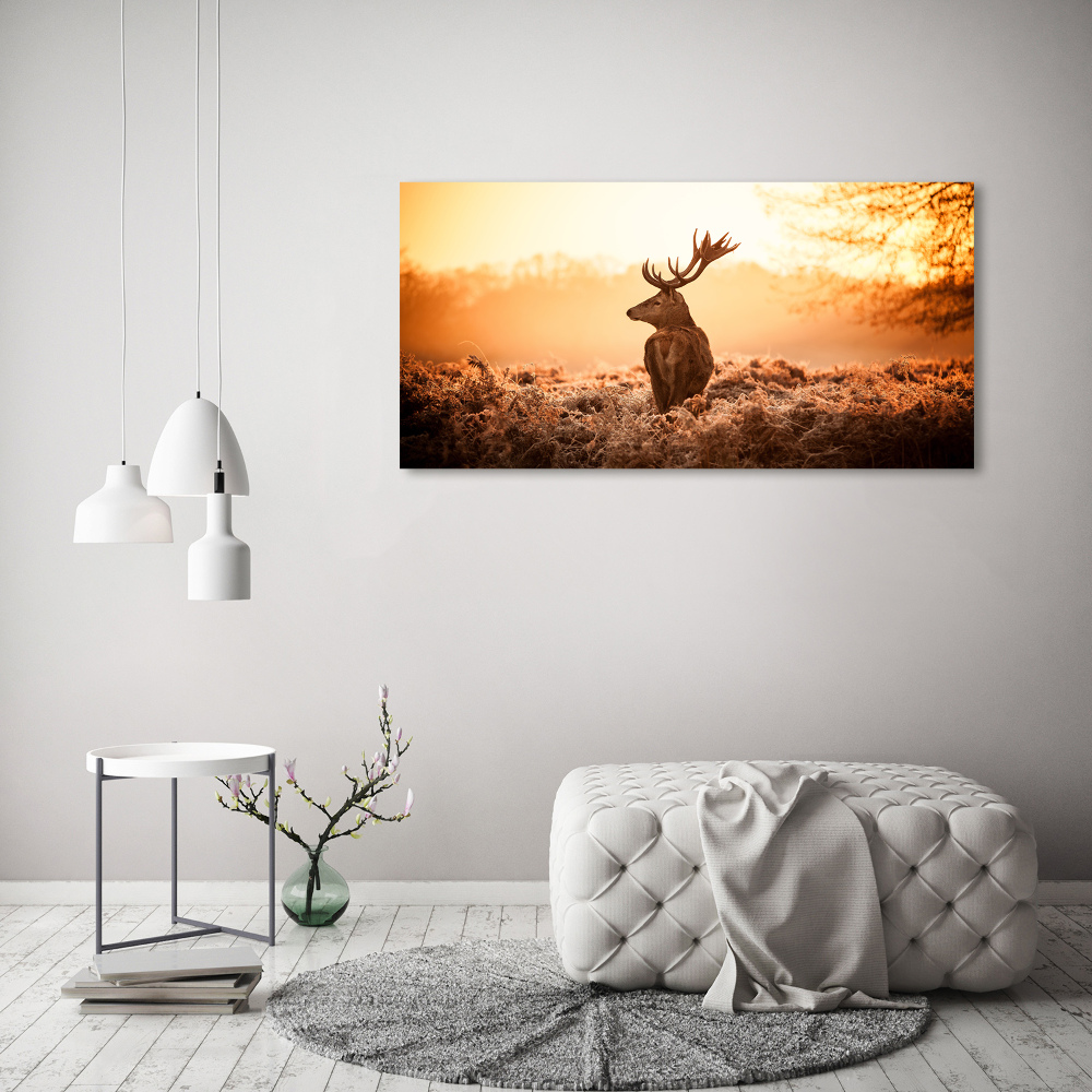 Canvas wall art Deer sunrise