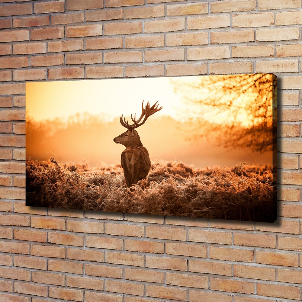 Canvas wall art Deer sunrise