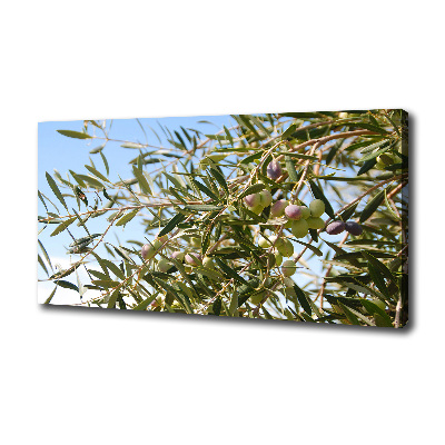 Canvas wall art Olive tree