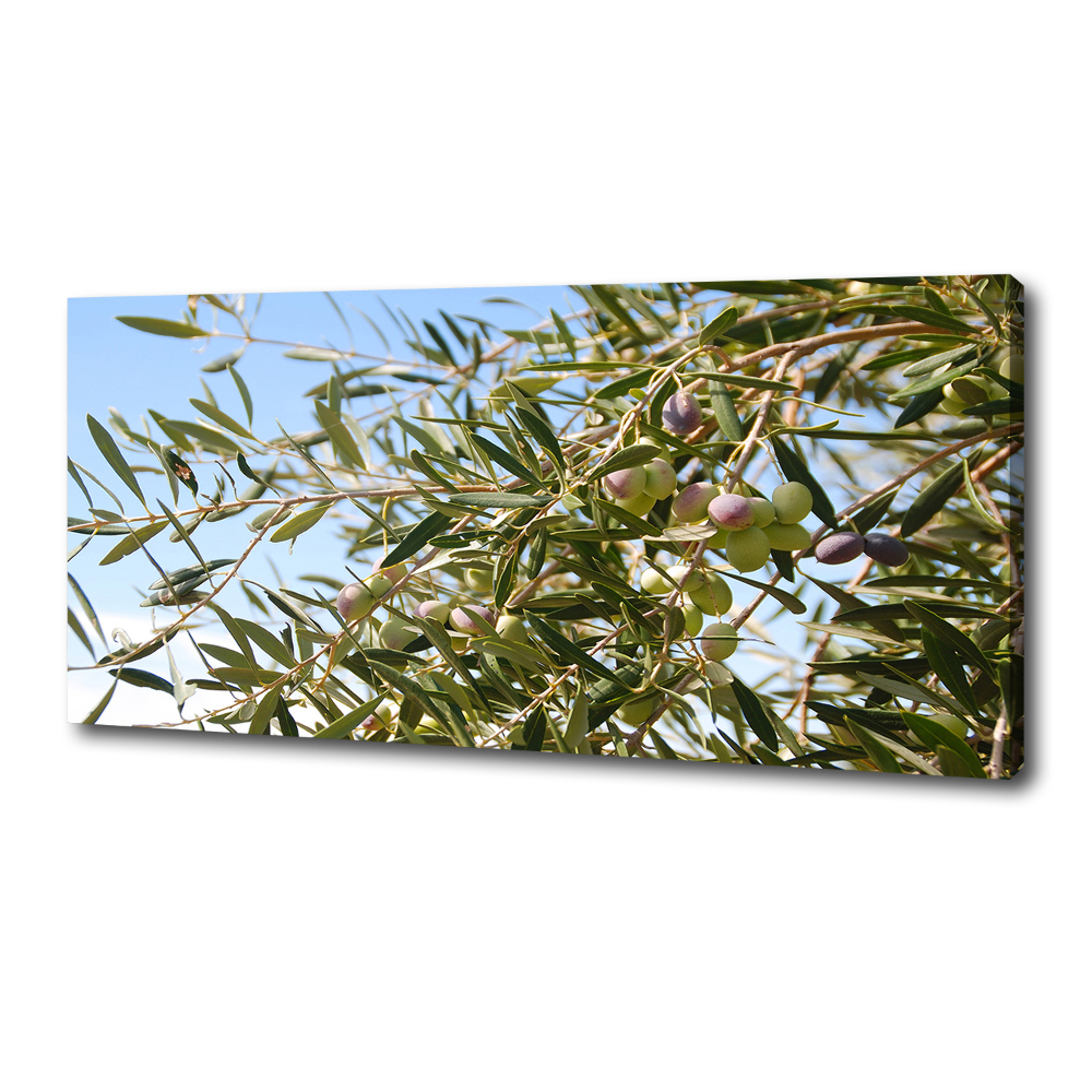 Canvas wall art Olive tree