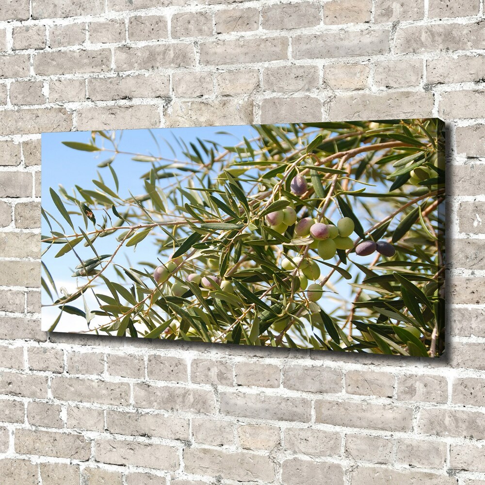 Canvas wall art Olive tree