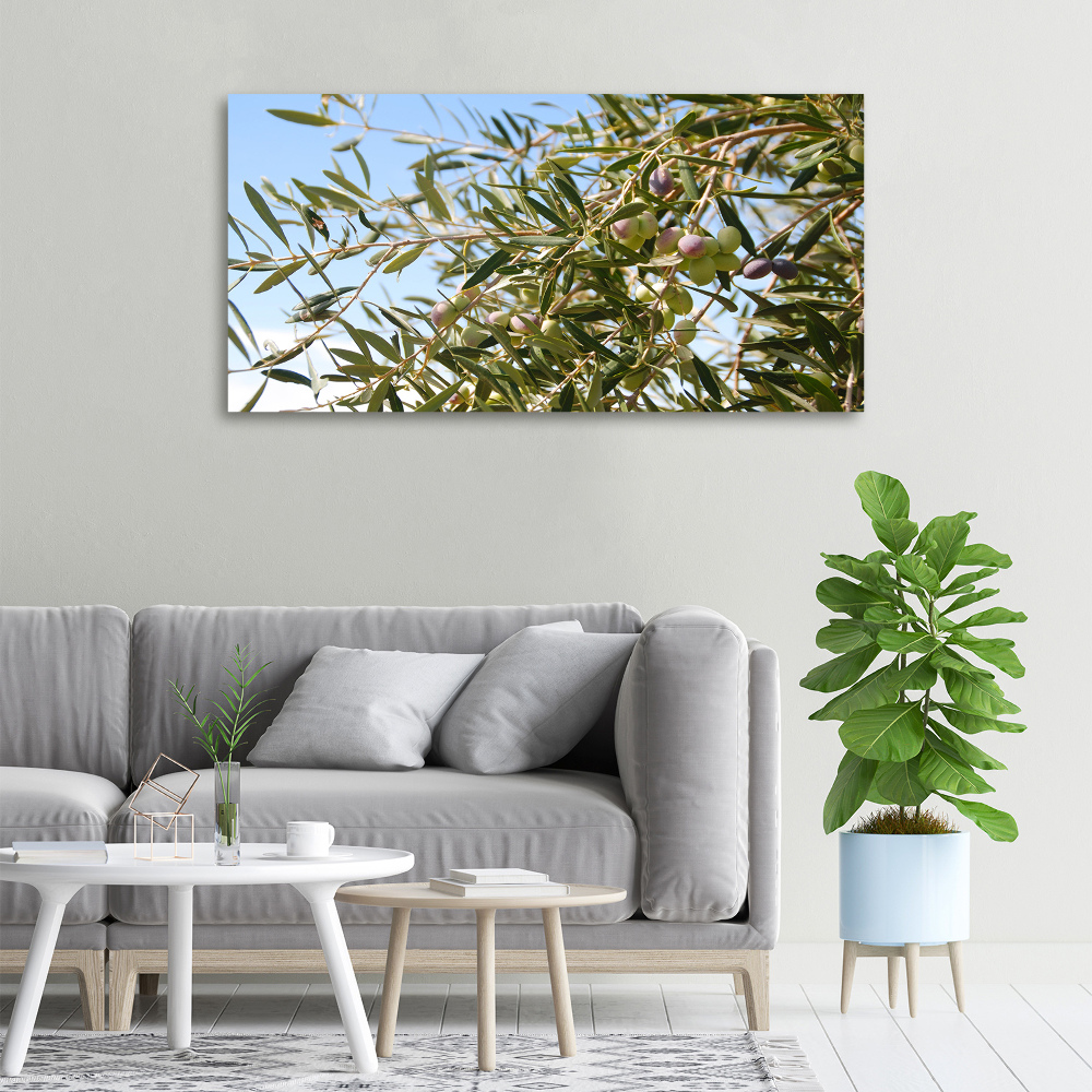 Canvas wall art Olive tree