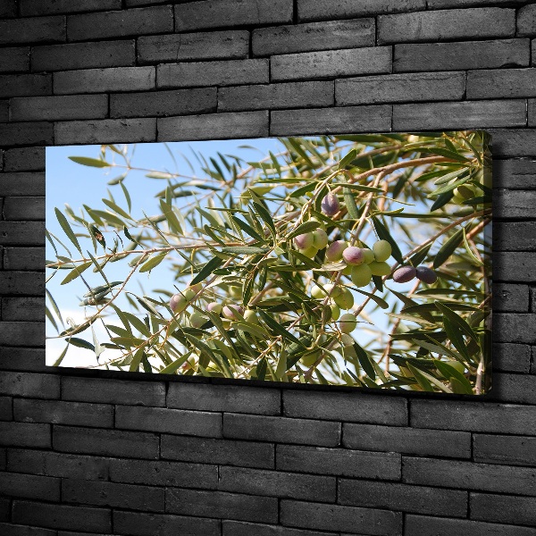 Canvas wall art Olive tree