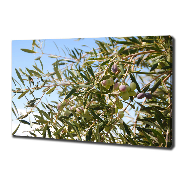 Canvas wall art Olive tree