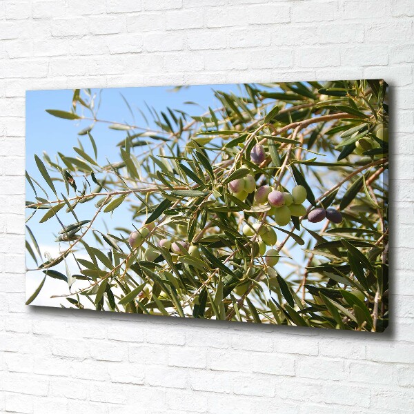 Canvas wall art Olive tree