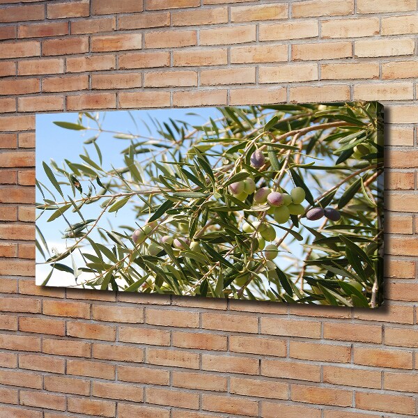 Canvas wall art Olive tree