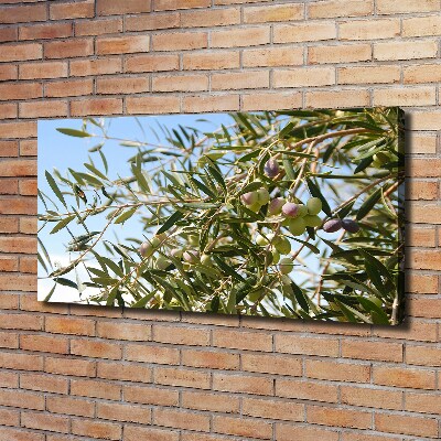 Canvas wall art Olive tree