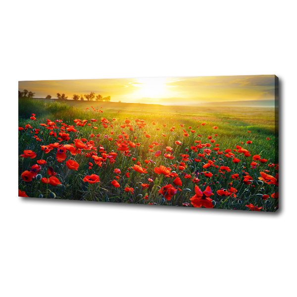 Canvas wall art Mak field