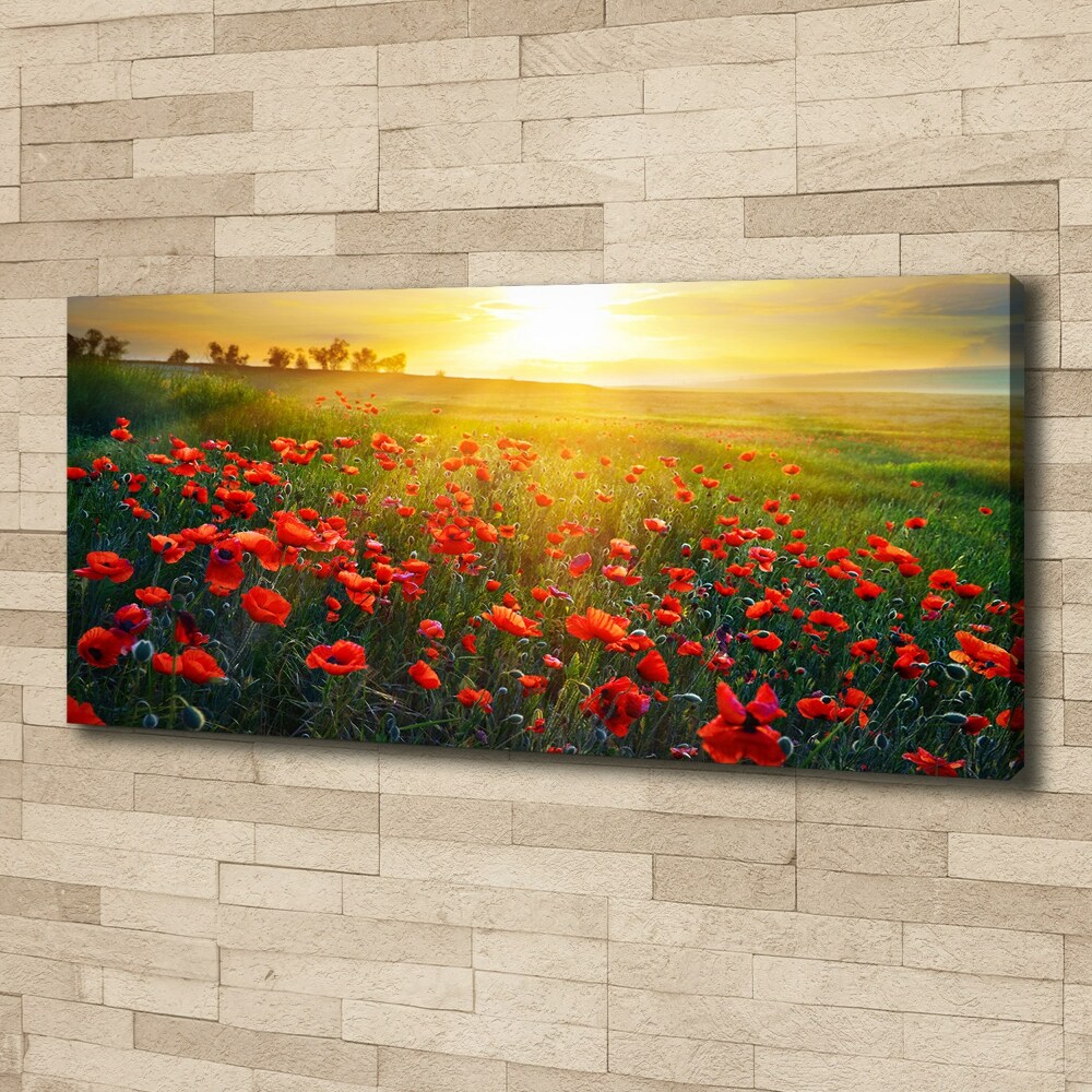 Canvas wall art Mak field