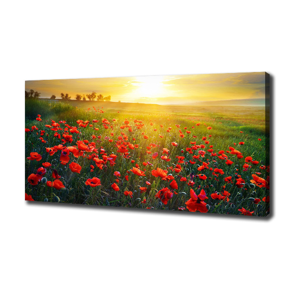 Canvas wall art Mak field