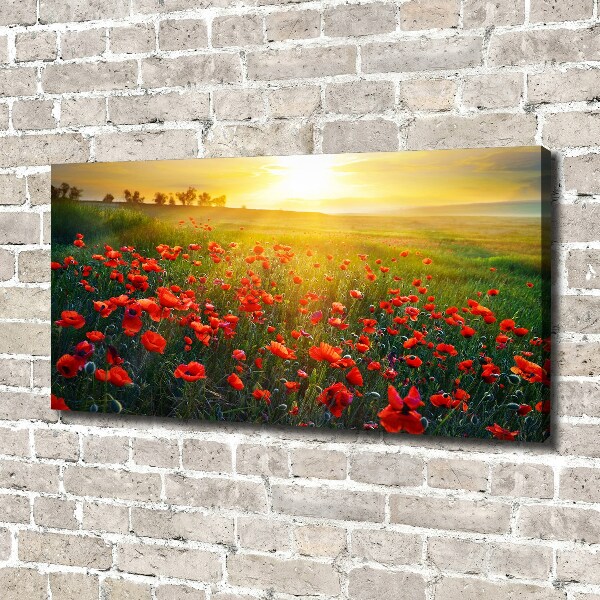 Canvas wall art Mak field