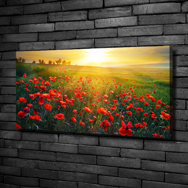 Canvas wall art Mak field