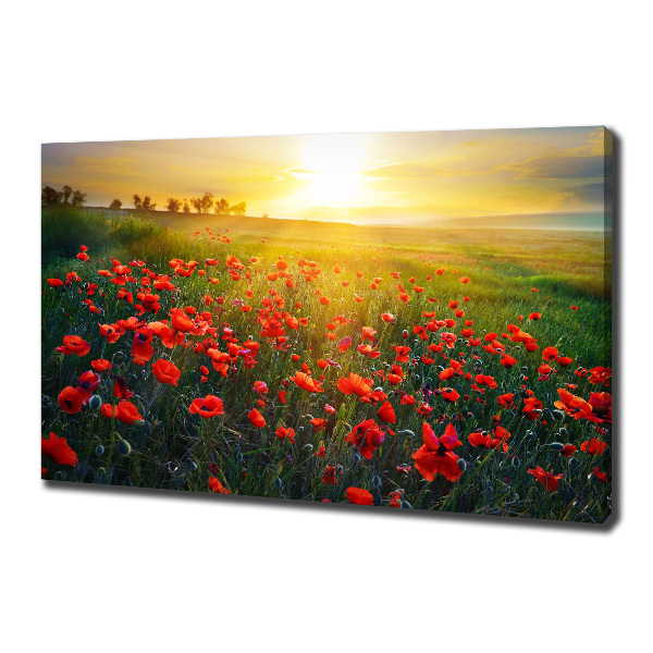 Canvas wall art Mak field