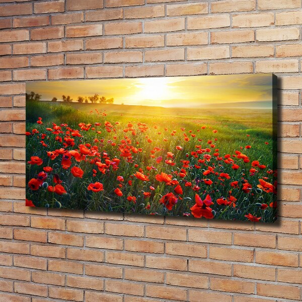 Canvas wall art Mak field