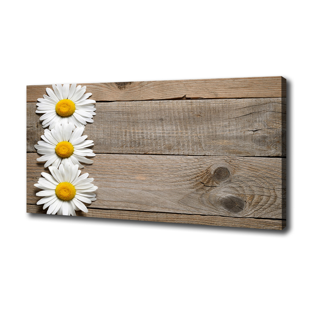 Canvas wall art Daisy wood