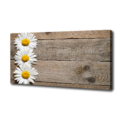 Canvas wall art Daisy wood