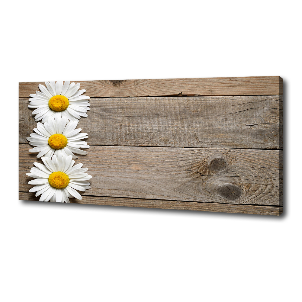 Canvas wall art Daisy wood