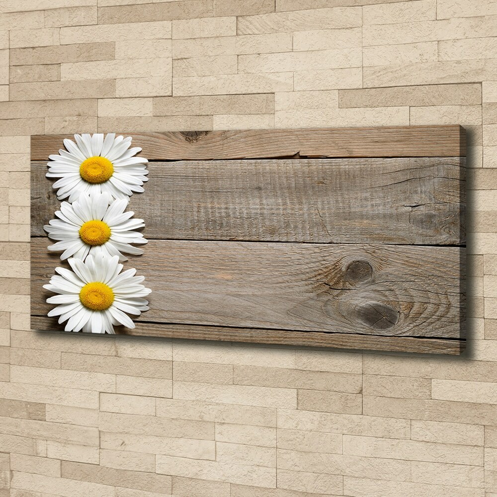 Canvas wall art Daisy wood