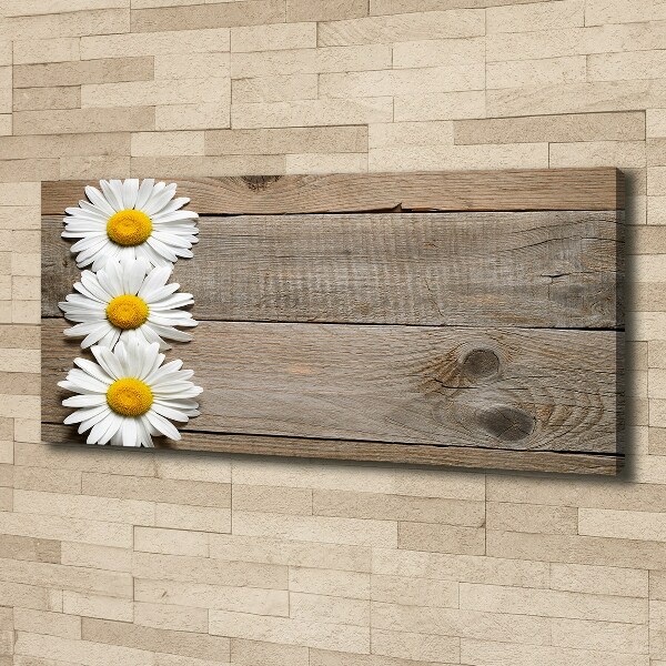 Canvas wall art Daisy wood