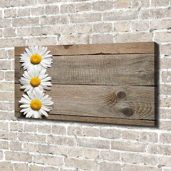 Canvas wall art Daisy wood