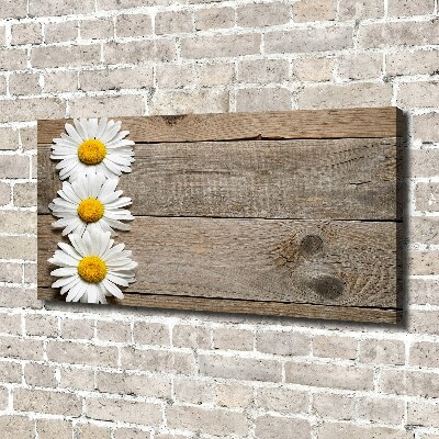 Canvas wall art Daisy wood