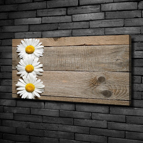 Canvas wall art Daisy wood