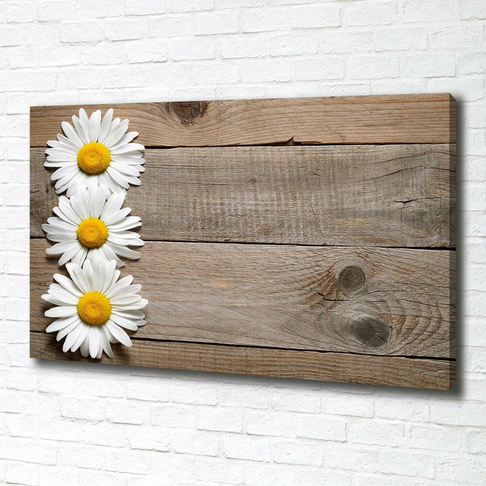 Canvas wall art Daisy wood