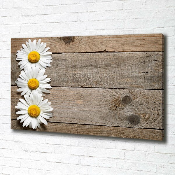 Canvas wall art Daisy wood